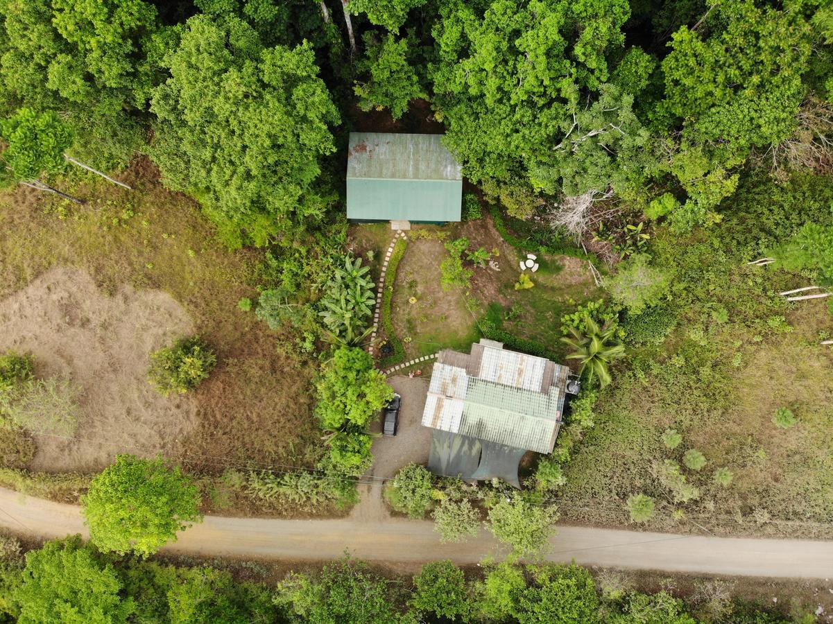 Cabanas Bajo Bosque Drake Drake Bay Exterior photo
